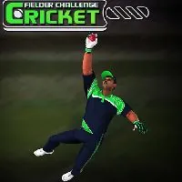 Cricket Fielder Challenge Game - Unblocked Games 6x