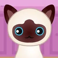 Guess The Kitty - Unblocked Games 6x