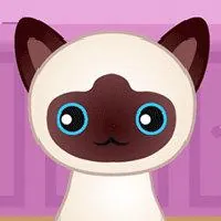 Guess The Kitty - Unblocked Games 6x